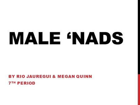 MALE ‘NADS BY RIO JAUREGUI & MEGAN QUINN 7 TH PERIOD.