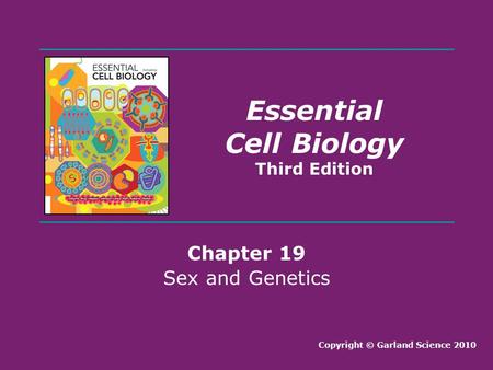 Essential Cell Biology