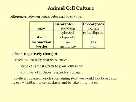 Animal Cell Culture Differences between procaryotes and eucaryotes Cells are negatively charged. attach to positively charges surfaces some cells must.