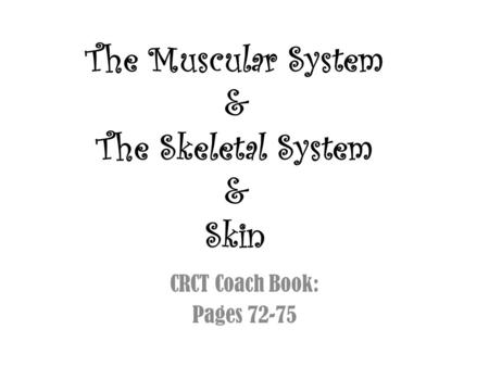 The Muscular System & The Skeletal System & Skin