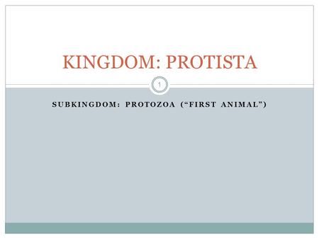 SUBKINGDOM: PROTOZOA (“first animal”)