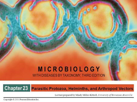 Parasitic Protozoa, Helminths, and Arthropod Vectors