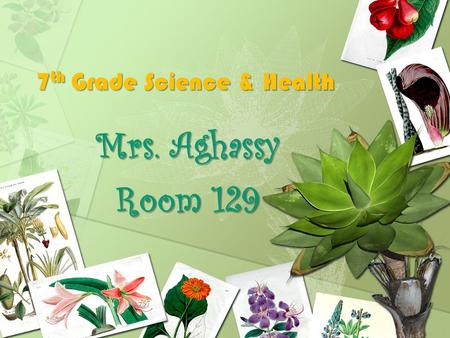 7 th Grade Science & Health Mrs. Aghassy Room 129.