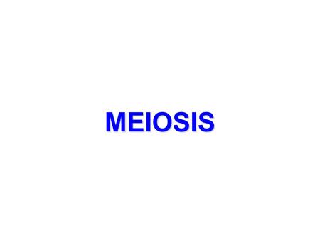 MEIOSIS.