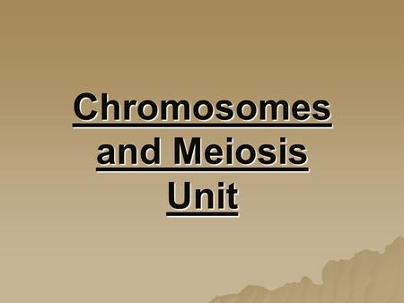 Chromosomes and Meiosis Unit