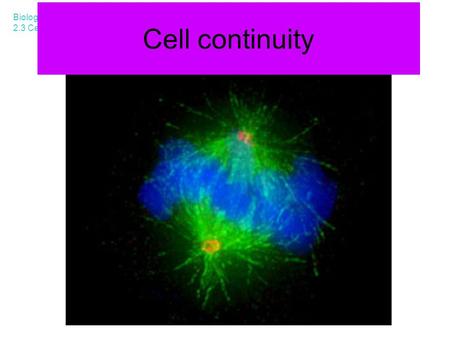 Cell continuity Biology Leaving Cert 2.3 Cell continuity.