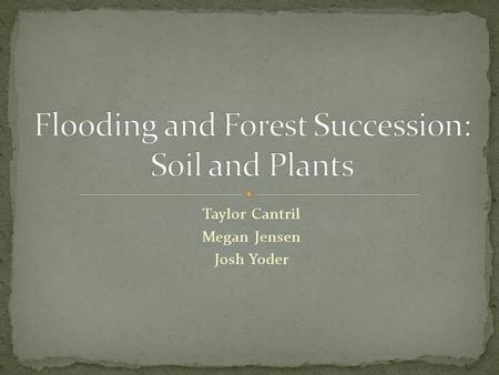 Taylor Cantril Megan Jensen Josh Yoder. Transect A: 210° Transect B: 194° Transect C: 178° Sample sites every 20 m Insects Sweep nets Pit fall traps.