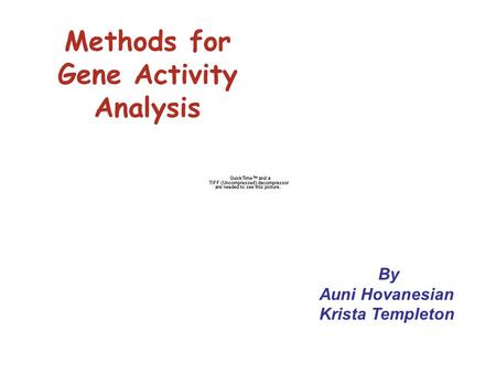 Methods for Gene Activity Analysis By Auni Hovanesian Krista Templeton.