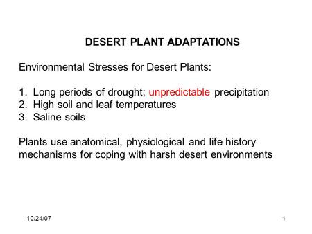 DESERT PLANT ADAPTATIONS