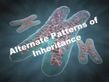 Alternate Patterns of Inheritance