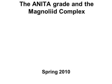 The ANITA grade and the Magnoliid Complex