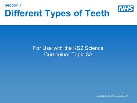 Section 7 Different Types of Teeth