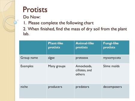 Protists Do Now: 1. Please complete the following chart 2. When finished, find the mass of dry soil from the plant lab. Plant-like protists Animal-like.