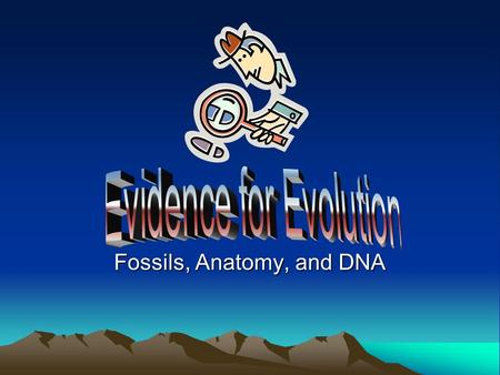 Fossils, Anatomy, and DNA. Evidence for Evolution Three types of evidence: –Fossils –Anatomical –Molecular.