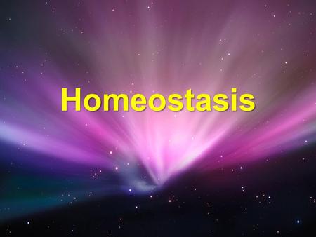 Homeostasis. Homeostasis The term is derived from the Greek word meaning ‘to stay the same’The term is derived from the Greek word meaning ‘to stay the.