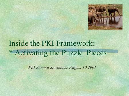 Inside the PKI Framework: * Activating the Puzzle Pieces PKI Summit Snowmass August 10 2001.