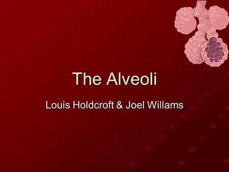 Louis Holdcroft & Joel Willams