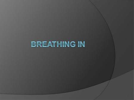 When you breathe in, air enters your lungs. Inside the lungs are many tiny air sacs called alveoli.