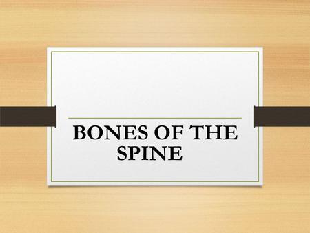 BONES OF THE SPINE.