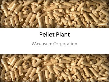 Pellet Plant Wawasum Corporation. Wawasum 50/50 Partnership BNA & AZA Planned Location: BNA Reserve 67,000 tpa.