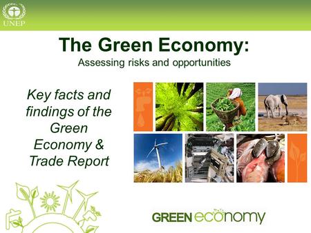 The Green Economy: Assessing risks and opportunities Key facts and findings of the Green Economy & Trade Report.