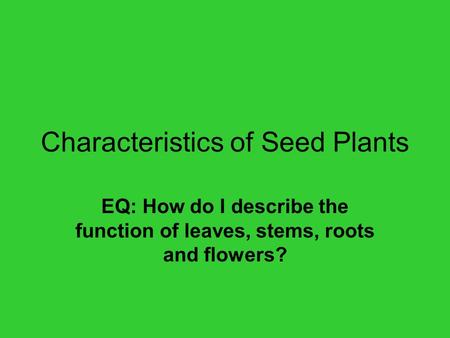 Characteristics of Seed Plants