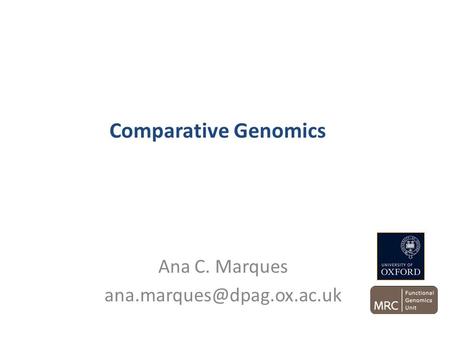 Comparative Genomics Ana C. Marques