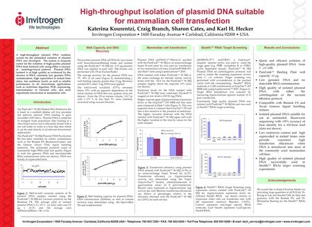 Invitrogen Corporation 1600 Faraday Avenue Carlsbad, California 92008 USA Telephone: 760 603 7200 FAX: 760 602 6500 Toll Free Telephone: 800 955 6288 E-mail: