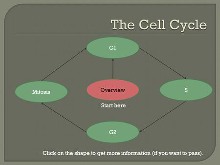 Overview G2 S G1 Mitosis Click on the shape to get more information (if you want to pass). Start here.