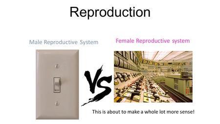 Reproduction This is about to make a whole lot more sense! Male Reproductive System Female Reproductive system.