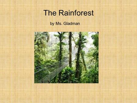 The Rainforest by Ms. Gladman. Rainforests are all over the world.