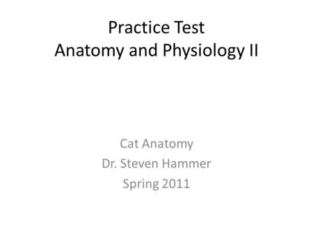 Practice Test Anatomy and Physiology II Cat Anatomy Dr. Steven Hammer Spring 2011.