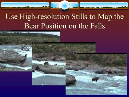 Use High-resolution Stills to Map the Bear Position on the Falls.