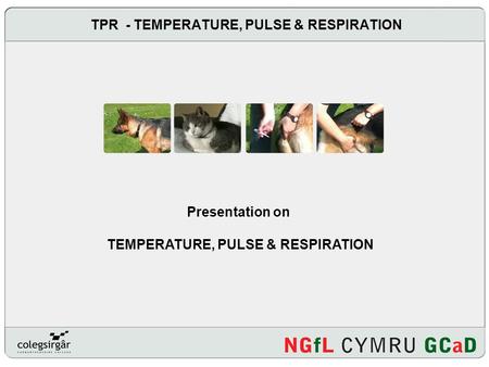 TPR - TEMPERATURE, PULSE & RESPIRATION