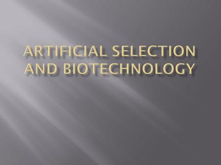 used to improve the genetic quality of farm animals Is a form of artificial selection (selective pressure exerted by humans on populations in order to.