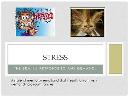 THE BRAIN'S RESPONSE TO ANY DEMAND. STRESS A state of mental or emotional strain resulting from very demanding circumstances.