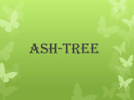 Ash-tree. Few words about the Ash-tree… Ash trees are medium to large trees of the genus fraxinus of the family Oleaceae (Olive-tree like). The family.