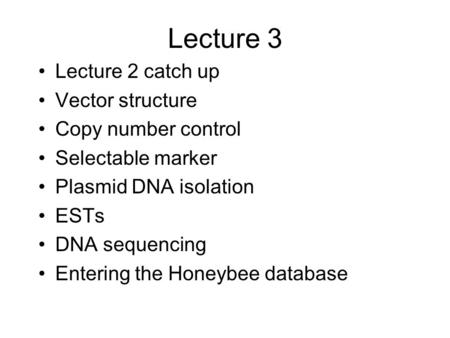 Lecture 3 Lecture 2 catch up Vector structure Copy number control