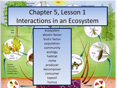 Chapter 5, Lesson 1 Interactions in an Ecosystem