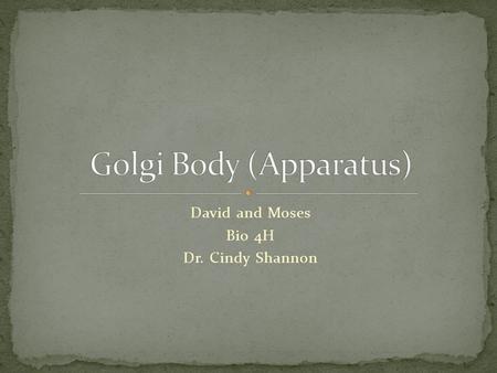 David and Moses Bio 4H Dr. Cindy Shannon. Camillo Golgi, who identified it in 1898. Due to his ego, like Most scientist, named it after himself.