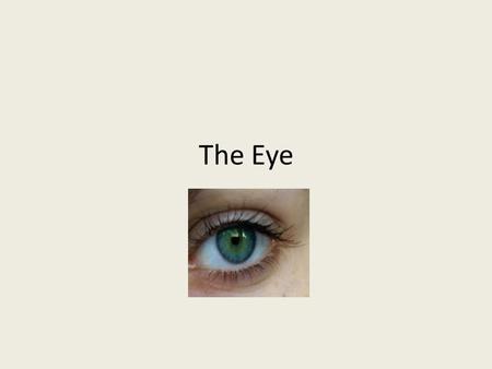 The Eye. Eyelids Tear duct Cornea – skin that covers front of eye. Lets light pass into the eye. Iris – changes in size depending on light intensity.