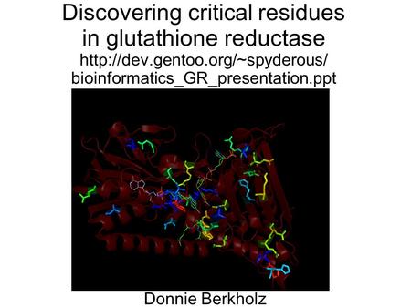 Discovering critical residues in glutathione reductase  bioinformatics_GR_presentation.ppt Donnie Berkholz.