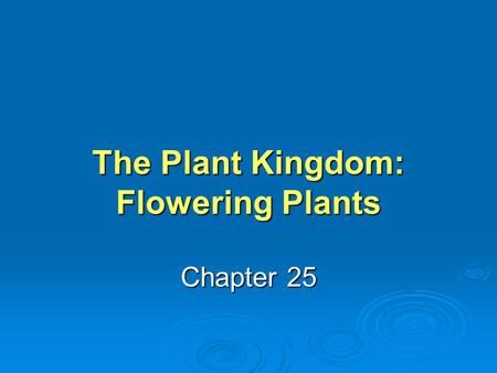 The Plant Kingdom: Flowering Plants