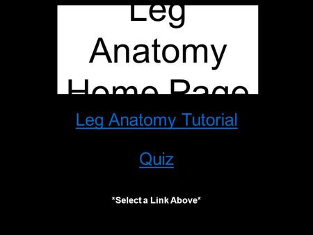 Leg Anatomy Tutorial Quiz Leg Anatomy Home Page *Select a Link Above*