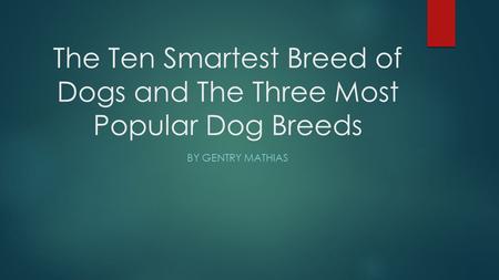 The Ten Smartest Breed of Dogs and The Three Most Popular Dog Breeds BY GENTRY MATHIAS.