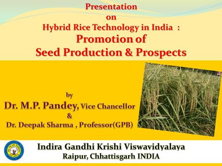 Presentationon Hybrid Rice Technology in India : Promotion of Seed Production & Prospects.