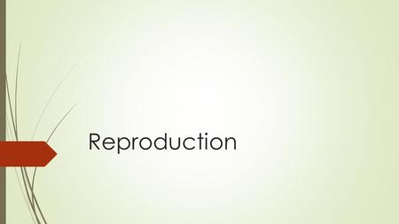 Reproduction.