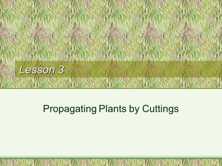 Lesson 3 Propagating Plants by Cuttings. Next Generation Science/Common Core Standards Addressed! HS ‐ LS1 ‐ 3. Plan and conduct an investigation to provide.