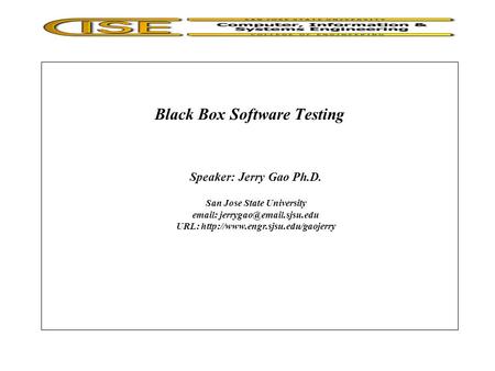 Black Box Software Testing