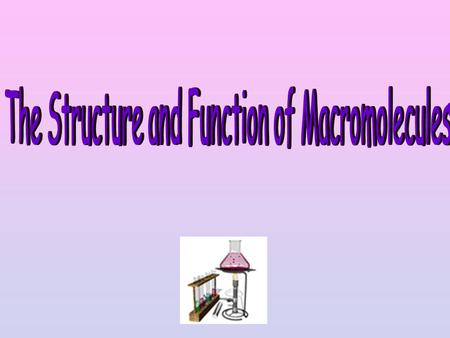 The Structure and Function of Macromolecules